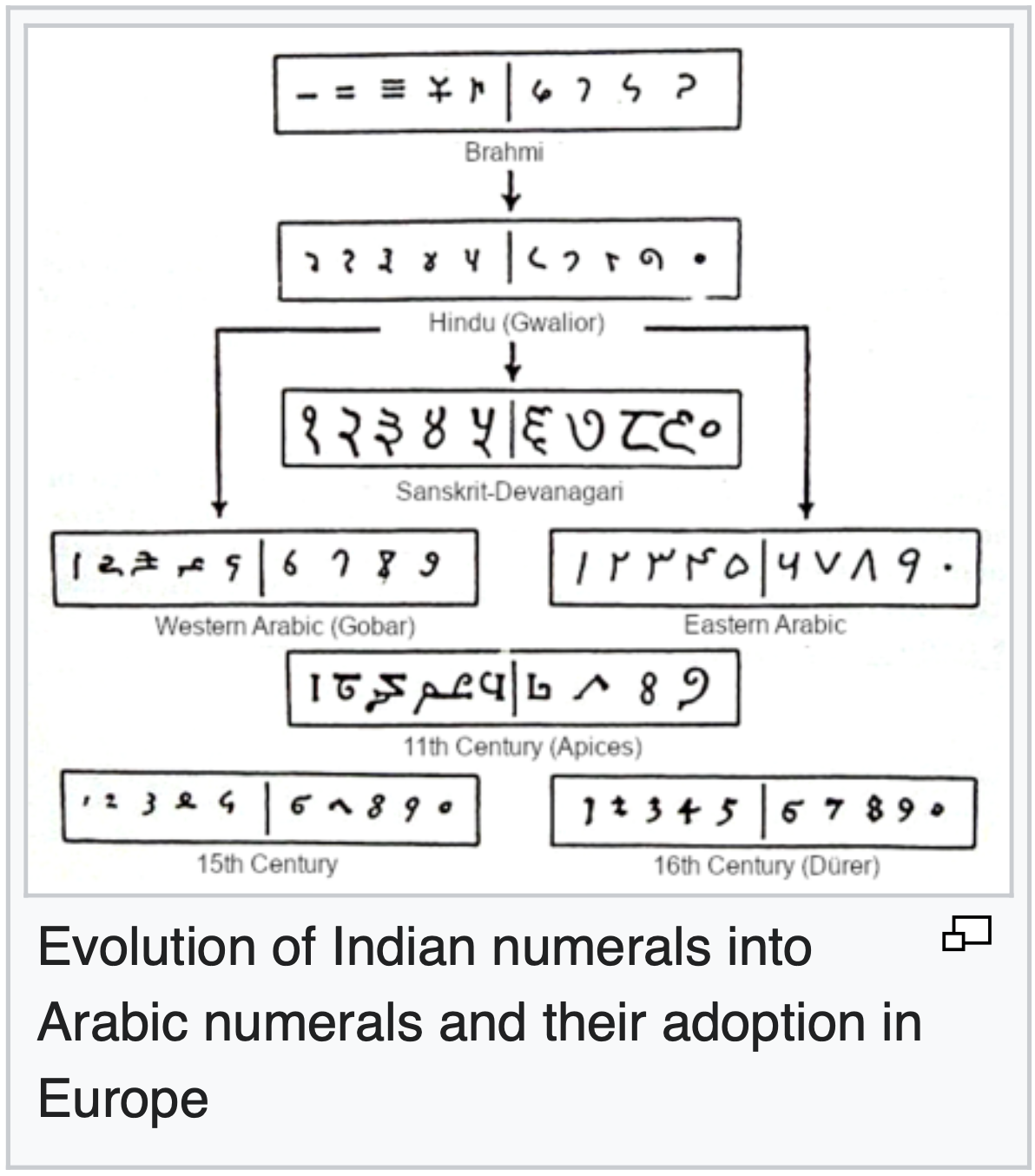 diagram depicting an evolution of numerals